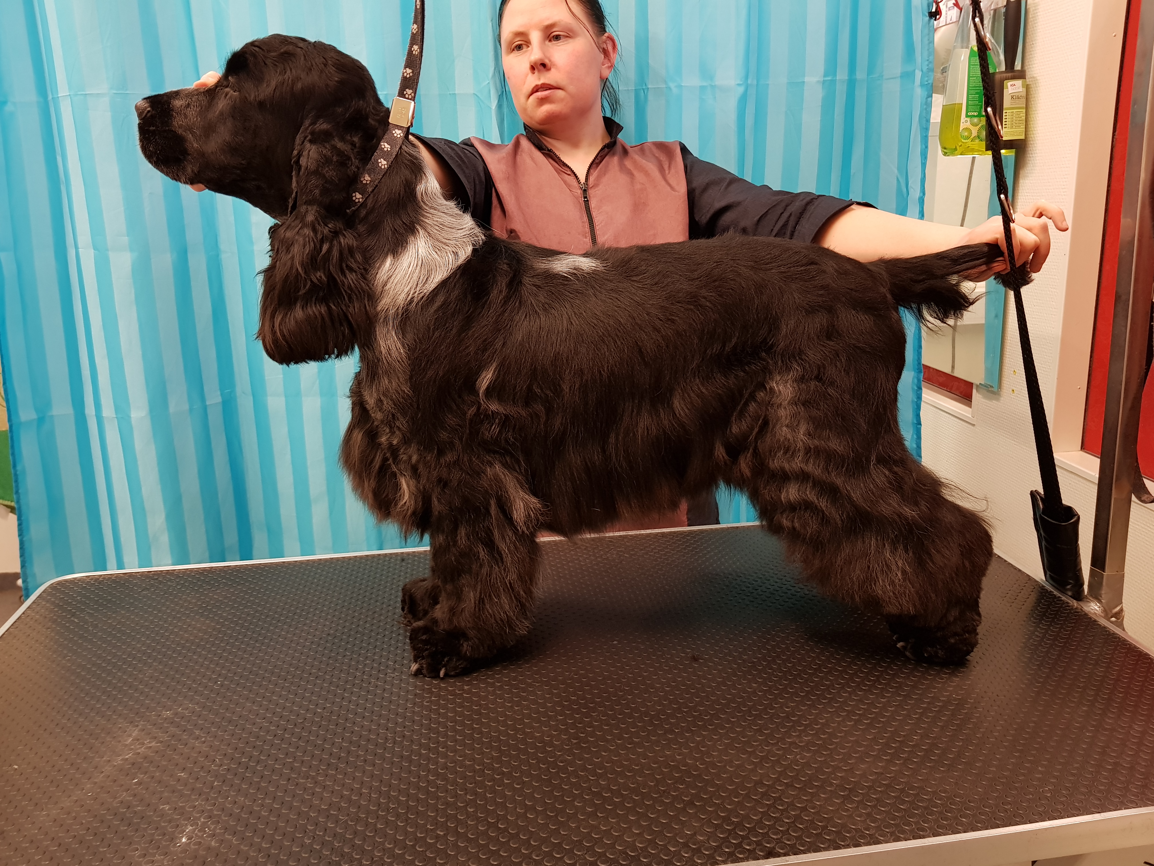 rasmus trim